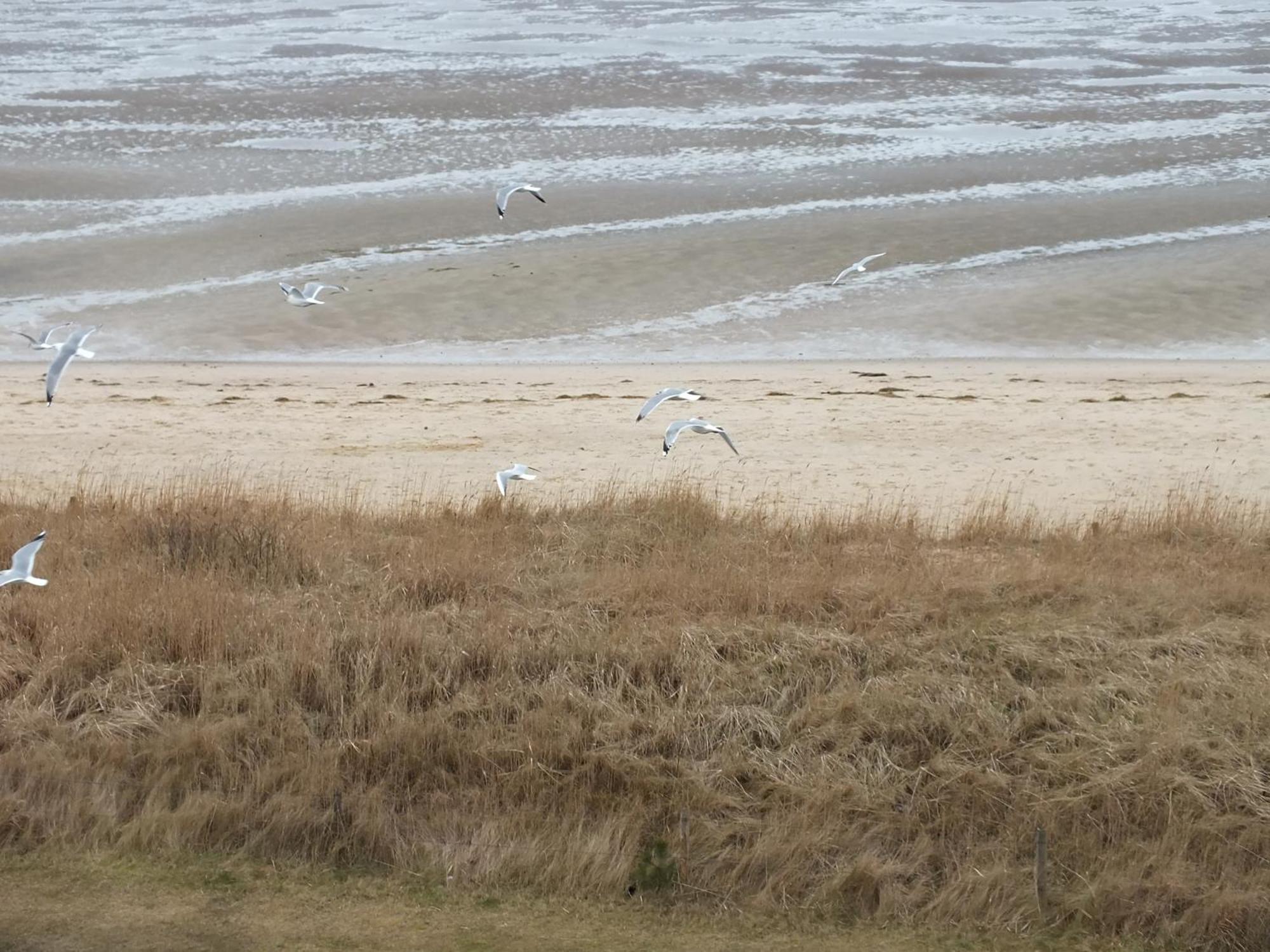 Watten-Blick 1 Cuxhaven Luaran gambar